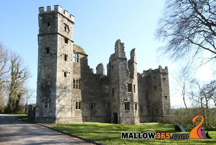 Oda ve Kahvaltı Annabella Mallow