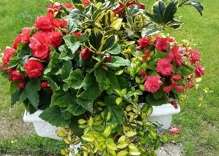 Annabella Oda ve Kahvaltı 4*